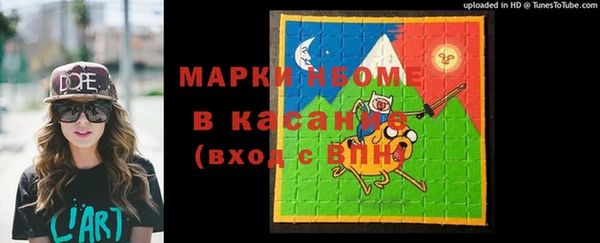 хмурый Алзамай