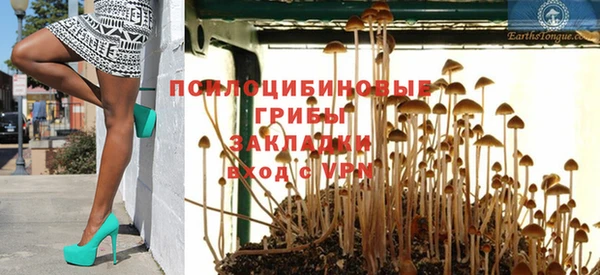 соль ск Абаза