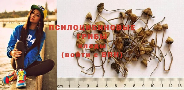спайс Абдулино