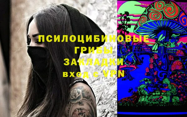 соль ск Алексеевка