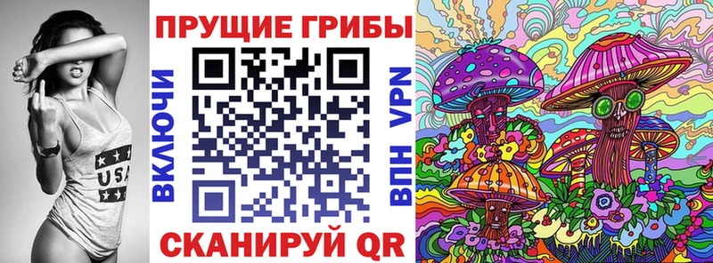 Галлюциногенные грибы Psilocybine cubensis Ковров