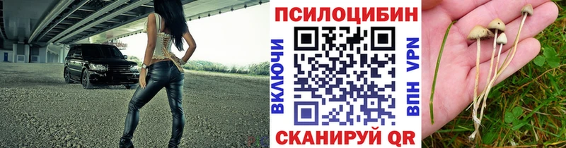 кракен как зайти  Ковров  Галлюциногенные грибы прущие грибы  это наркотические препараты  магазин   