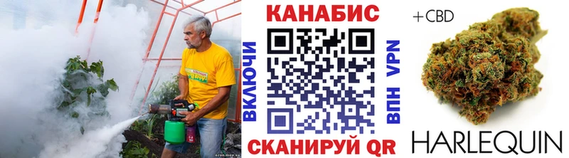 Марихуана план  Ковров 